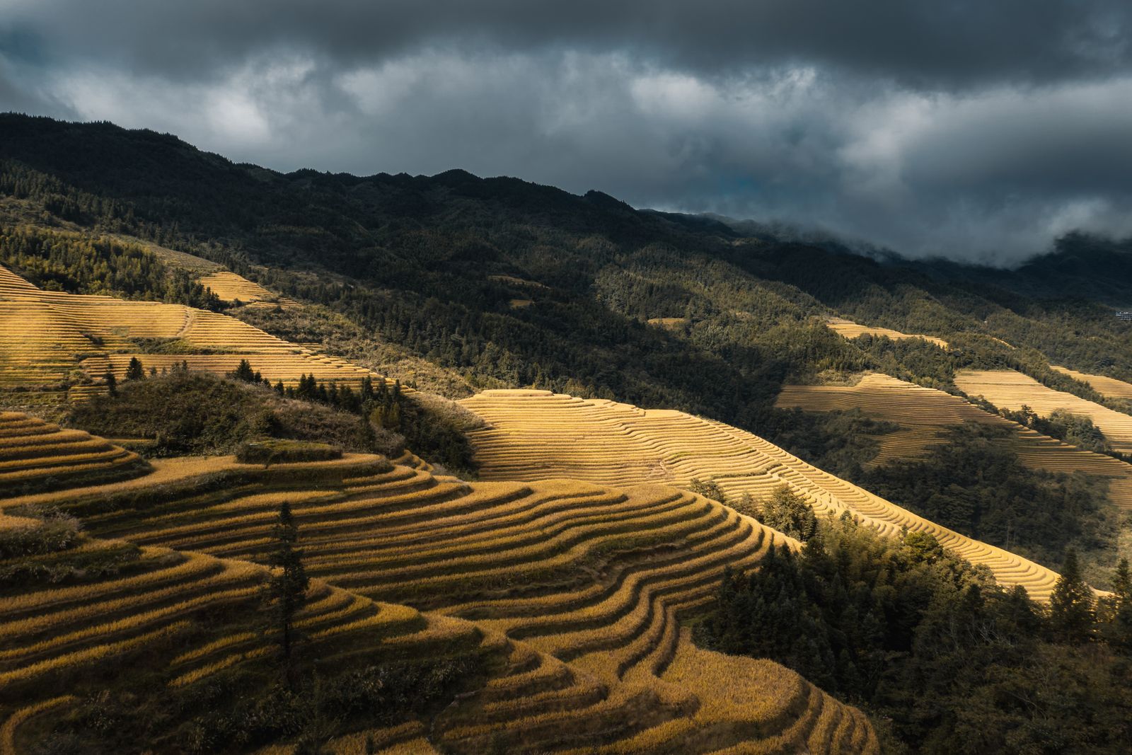 Terrazas de arroz de Longji, Guilin
