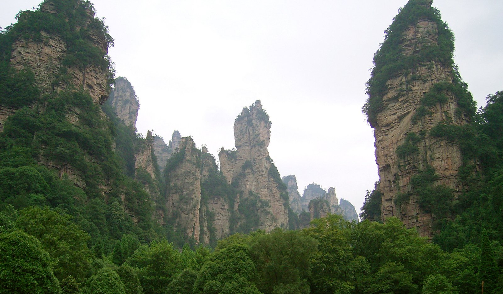 Columnas de arenisca de Zhangjiajie entre la niebla